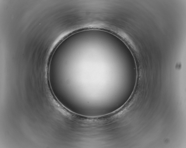X0000094181232200710261124