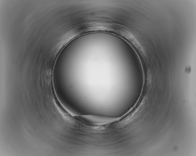 X0000094181233200710261124