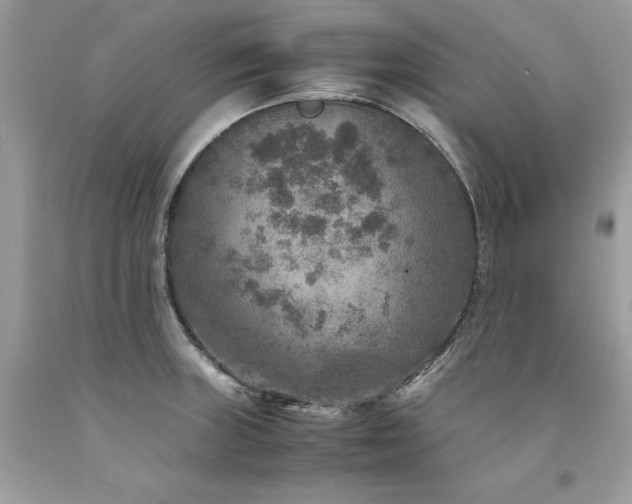X0000094181235200710261124