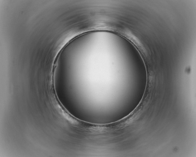X0000094181236200710261124