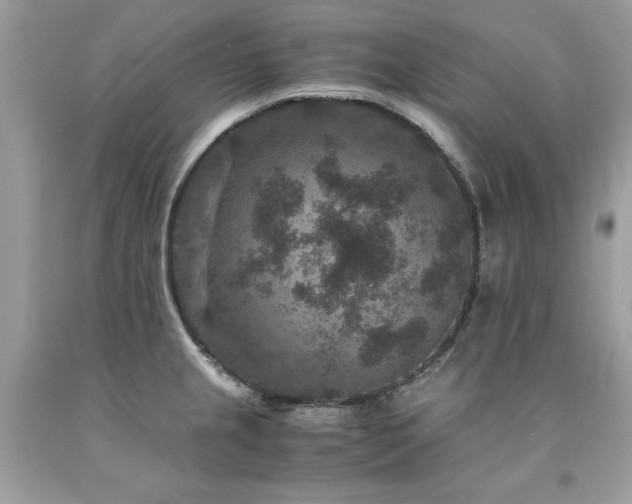 X0000094181237200710261124