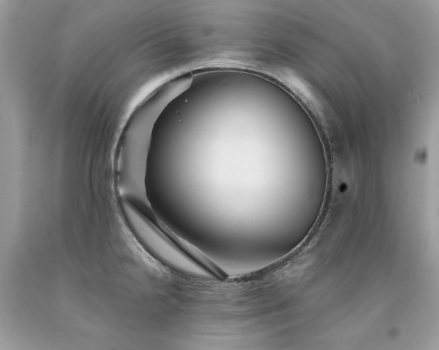 X0000094181238200710261124
