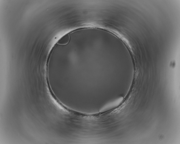 X0000094181239200710261124