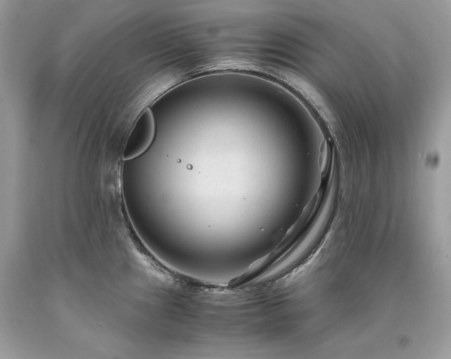X0000094181241200710261124
