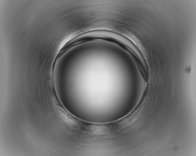 X0000094181242200710261124