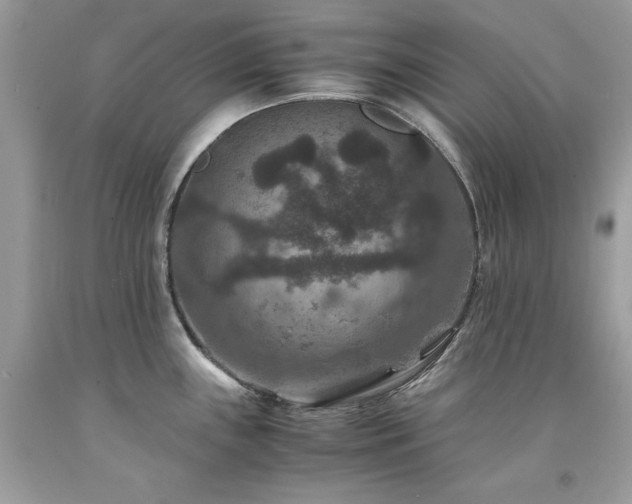 X0000094181243200710261124