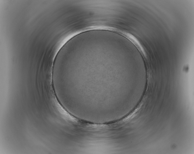 X0000094181244200710261124