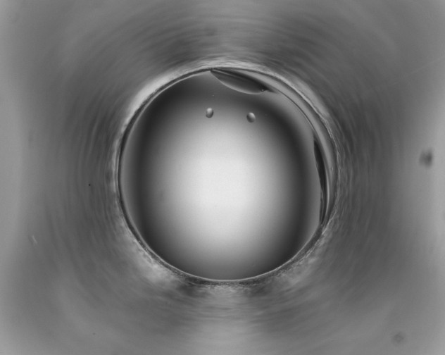 X0000094181246200710261124