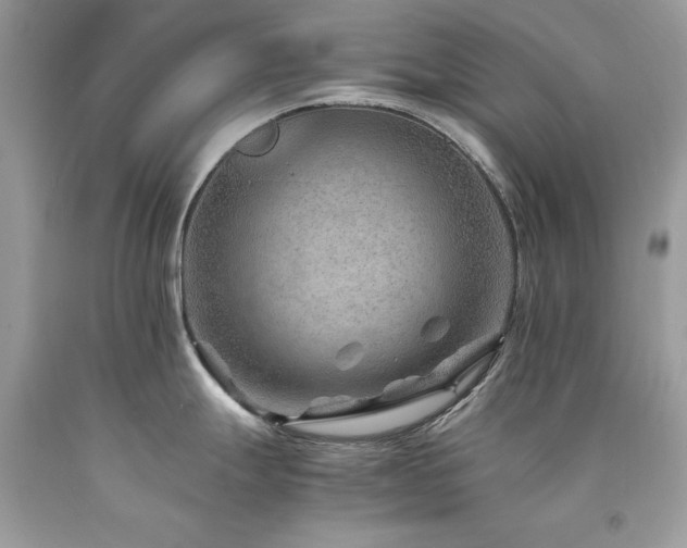 X0000094181247200710261124