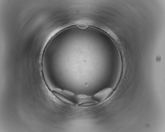 X0000094181248200710261124