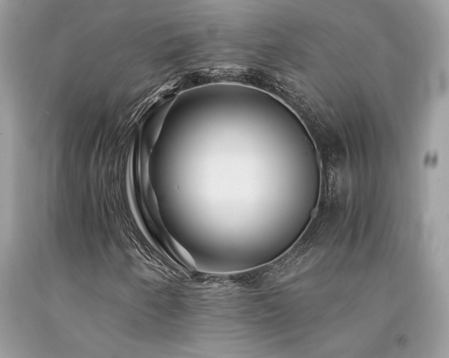 X0000094181250200710261124