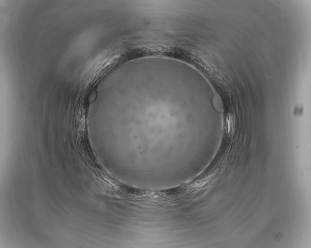 X0000094181251200710261124