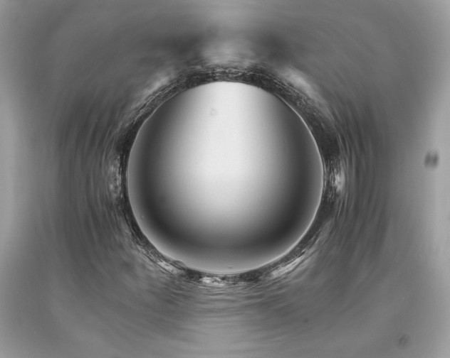 X0000094181252200710261124
