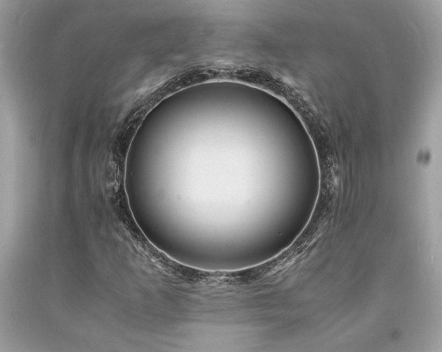 X0000094181253200710261124