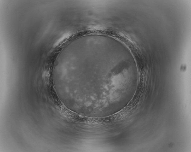 X0000094181254200710261124