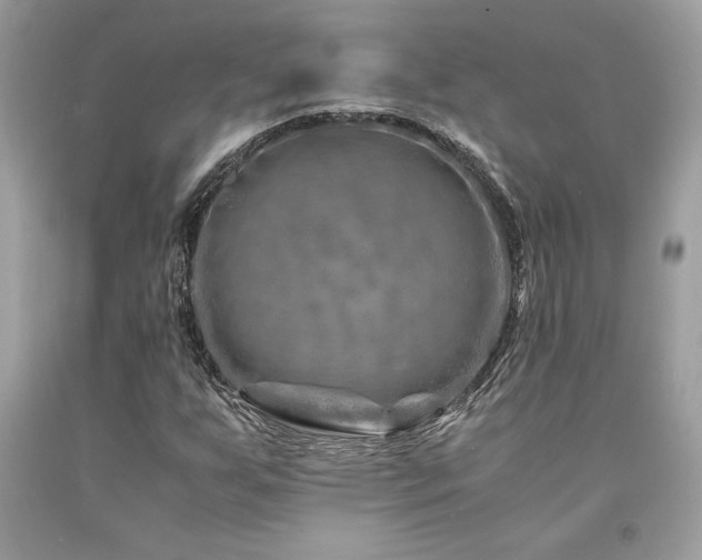 X0000094181255200710261124
