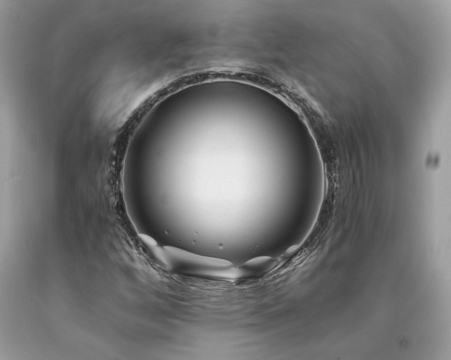 X0000094181256200710261124