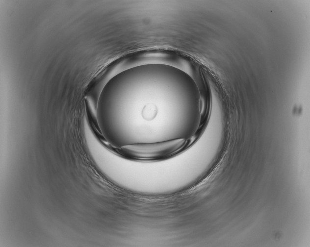 X0000094181257200710261124