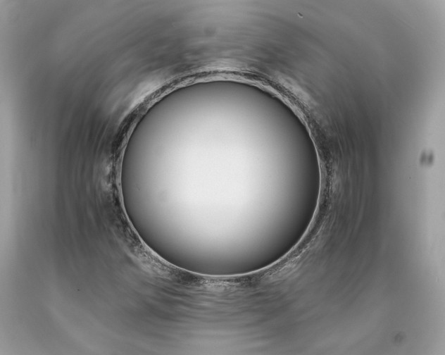 X0000094181258200710261124