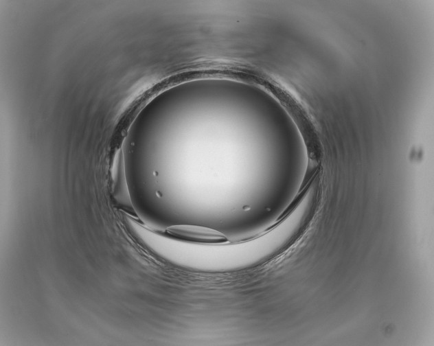 X0000094181259200710261124