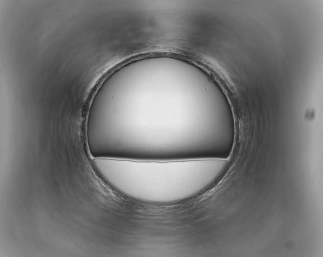 X0000094181260200710261124