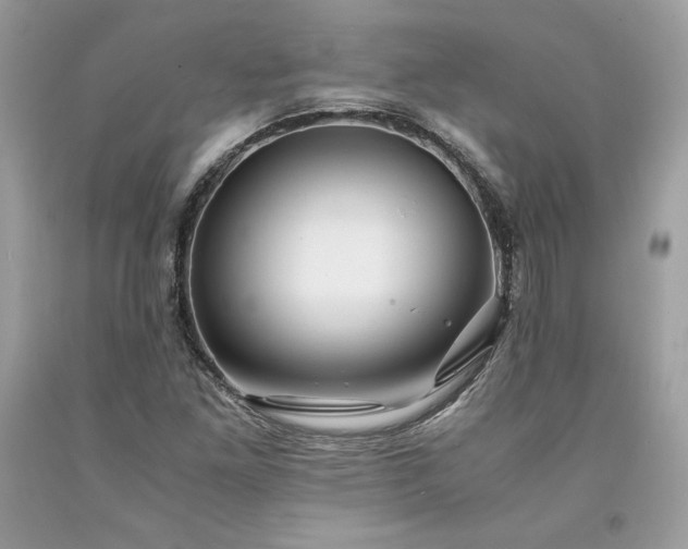 X0000094181261200710261124