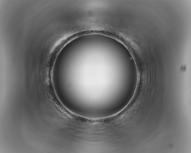 X0000094181262200710261124