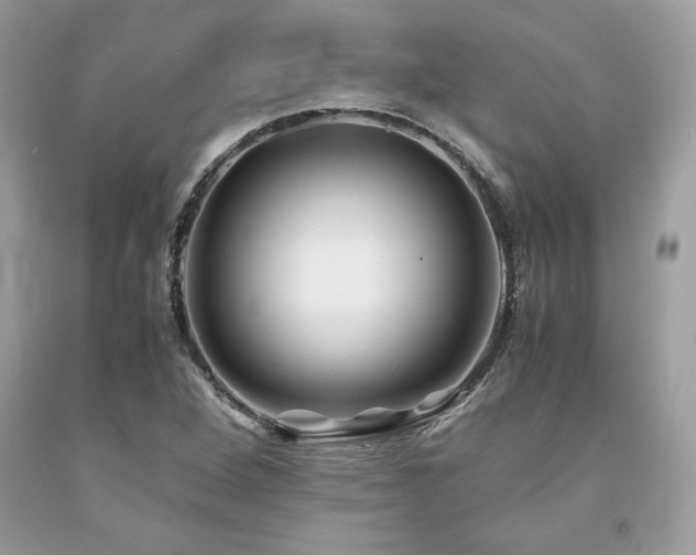 X0000094181264200710261124