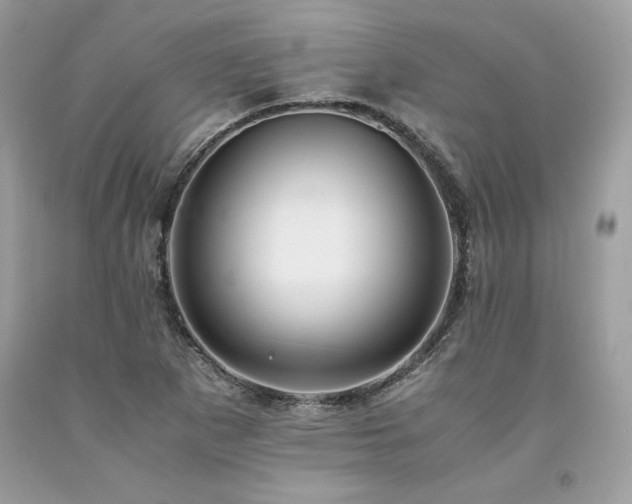 X0000094181265200710261124