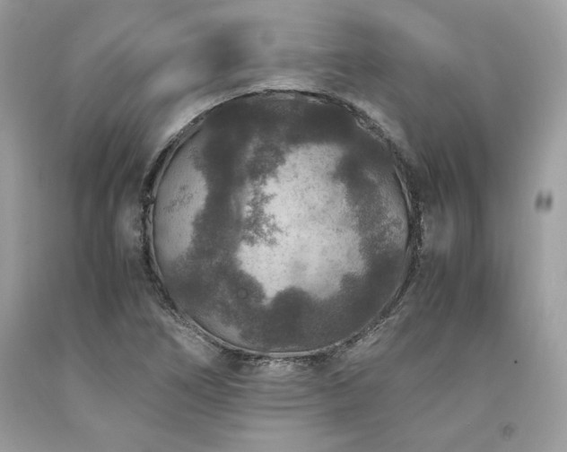 X0000094181266200710261124