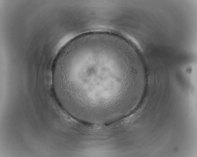 X0000094181267200710261124