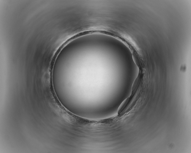 X0000094181268200710261123