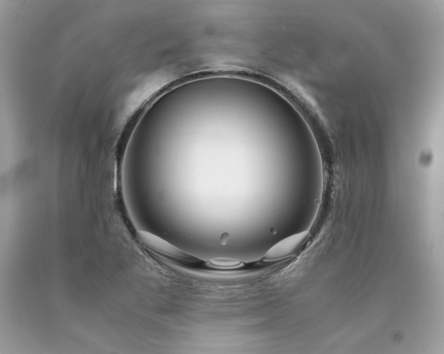 X0000094181269200710261123