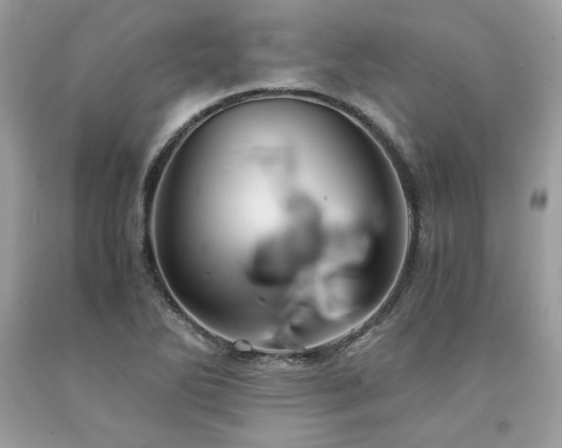 X0000094181270200710261123