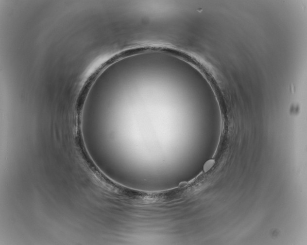 X0000094181271200710261123