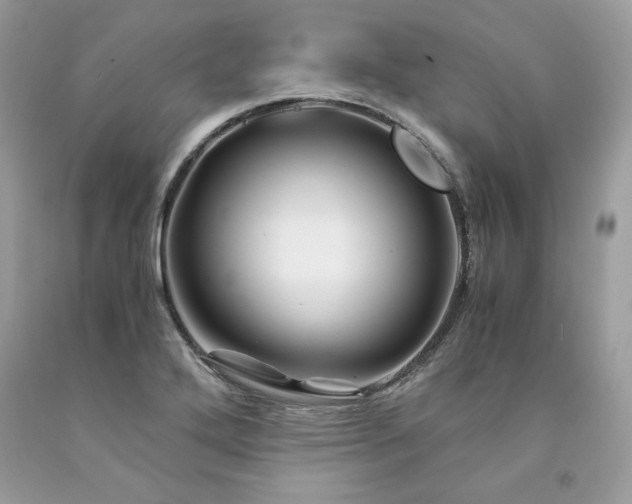 X0000094181272200710261123