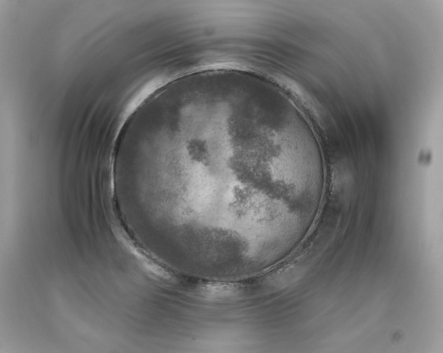X0000094181274200710261123