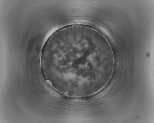 X0000094181275200710261123