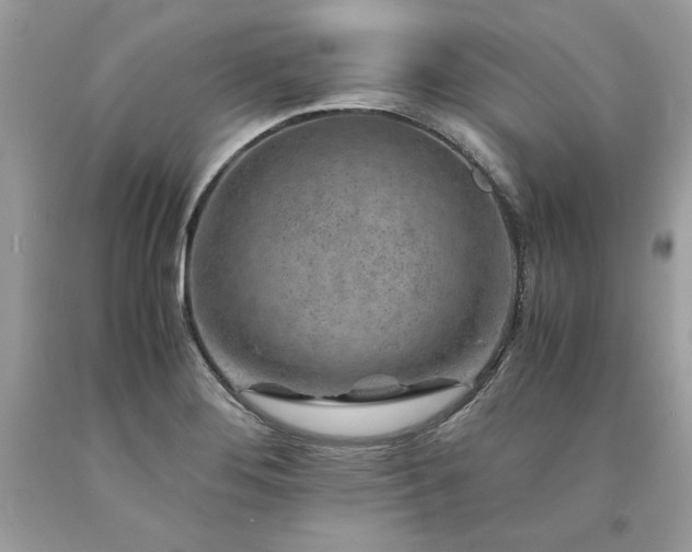 X0000094181276200710261123