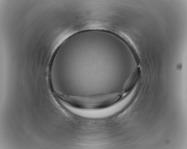 X0000094181277200710261123