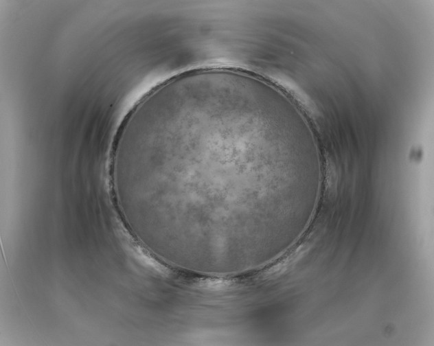 X0000094181278200710261123