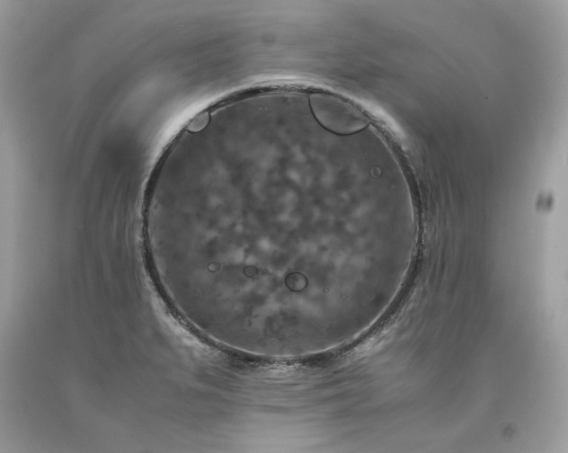 X0000094181279200710261123