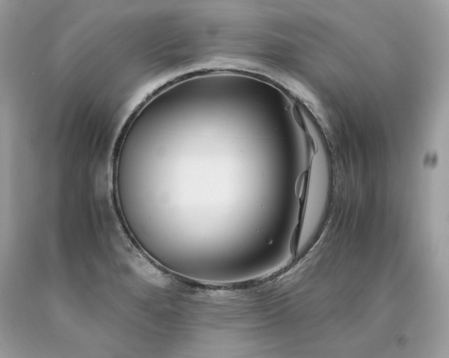 X0000094181280200710261123