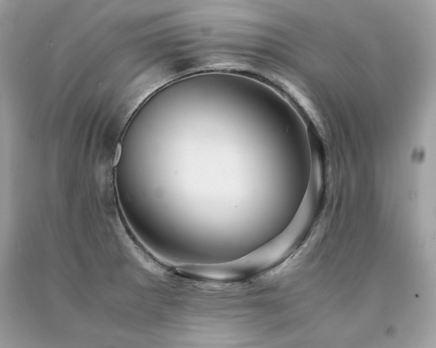 X0000094181281200710261123