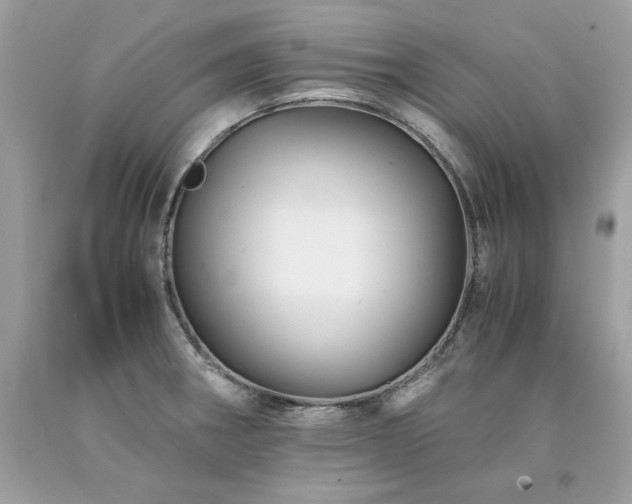 X0000094181282200710261123