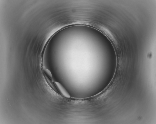 X0000094181284200710261123