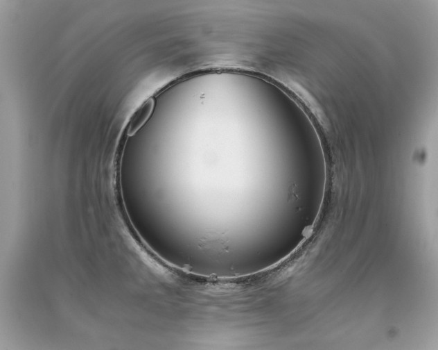 X0000094181285200710261123