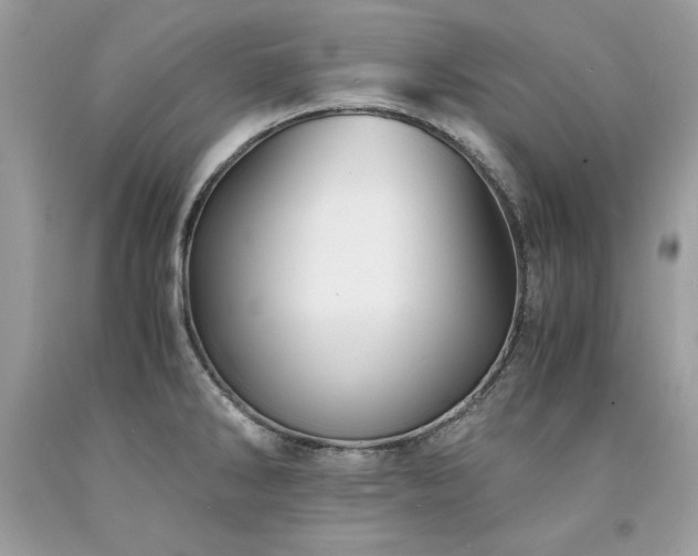 X0000094181286200710261123