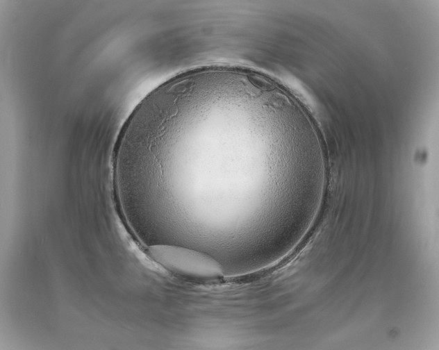 X0000094181287200710261123
