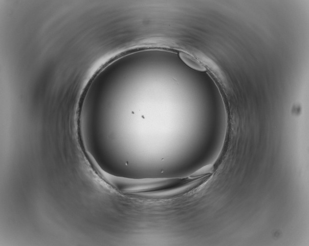 X0000094181288200710261123